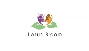 lotus bloom